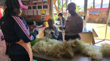 A big success – a usable, local alternative to hemp stalks