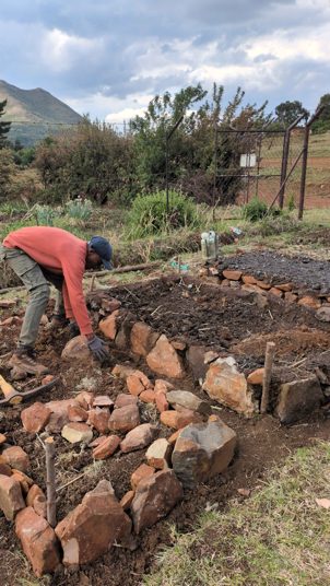 Building new raised beds in the second week